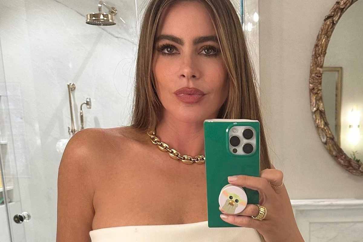 Sofia Vergara zoom selfie